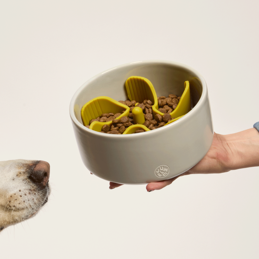 Munch Maze: Off-White – Jumble Pets