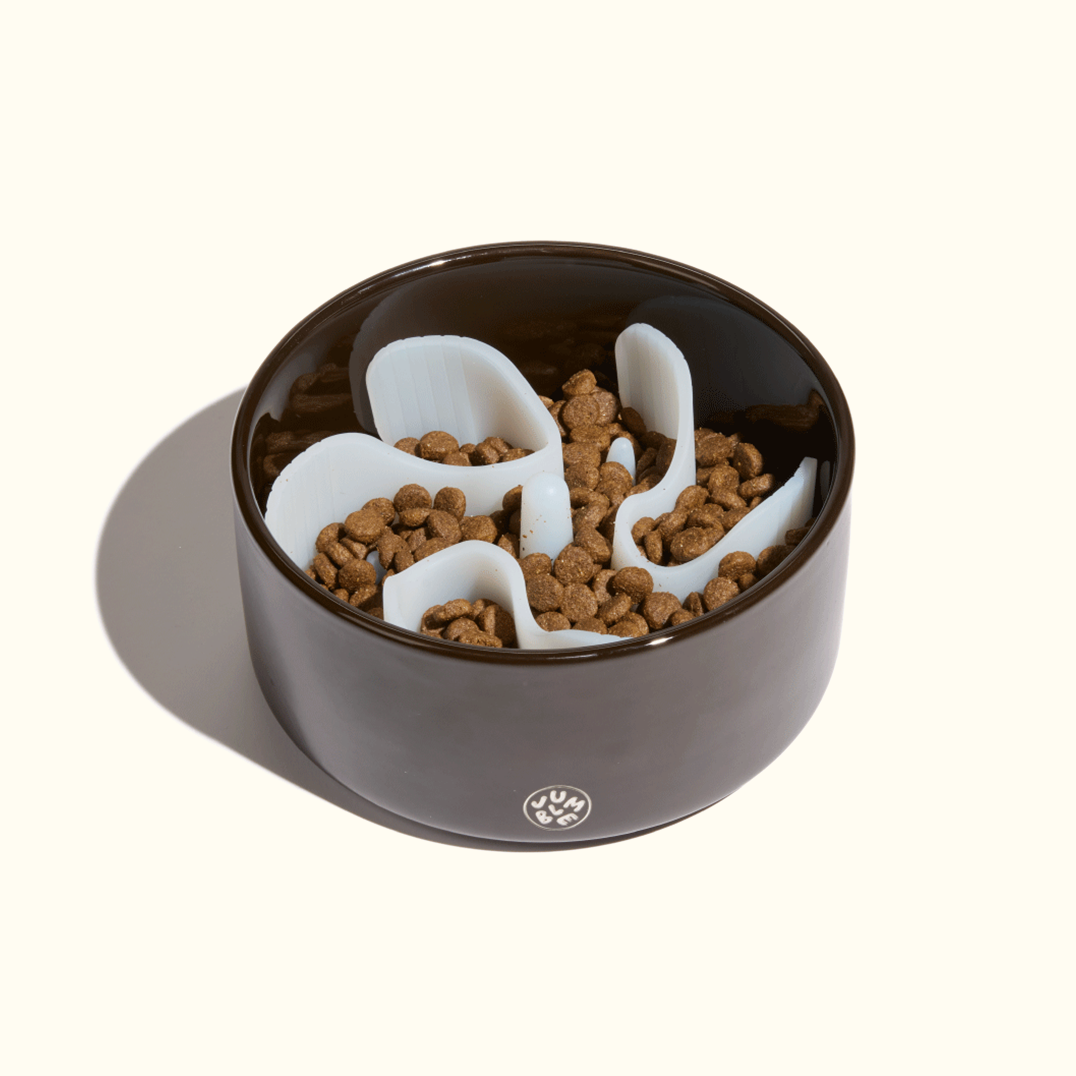 Munch Maze: Charcoal Frost – Jumble Pets