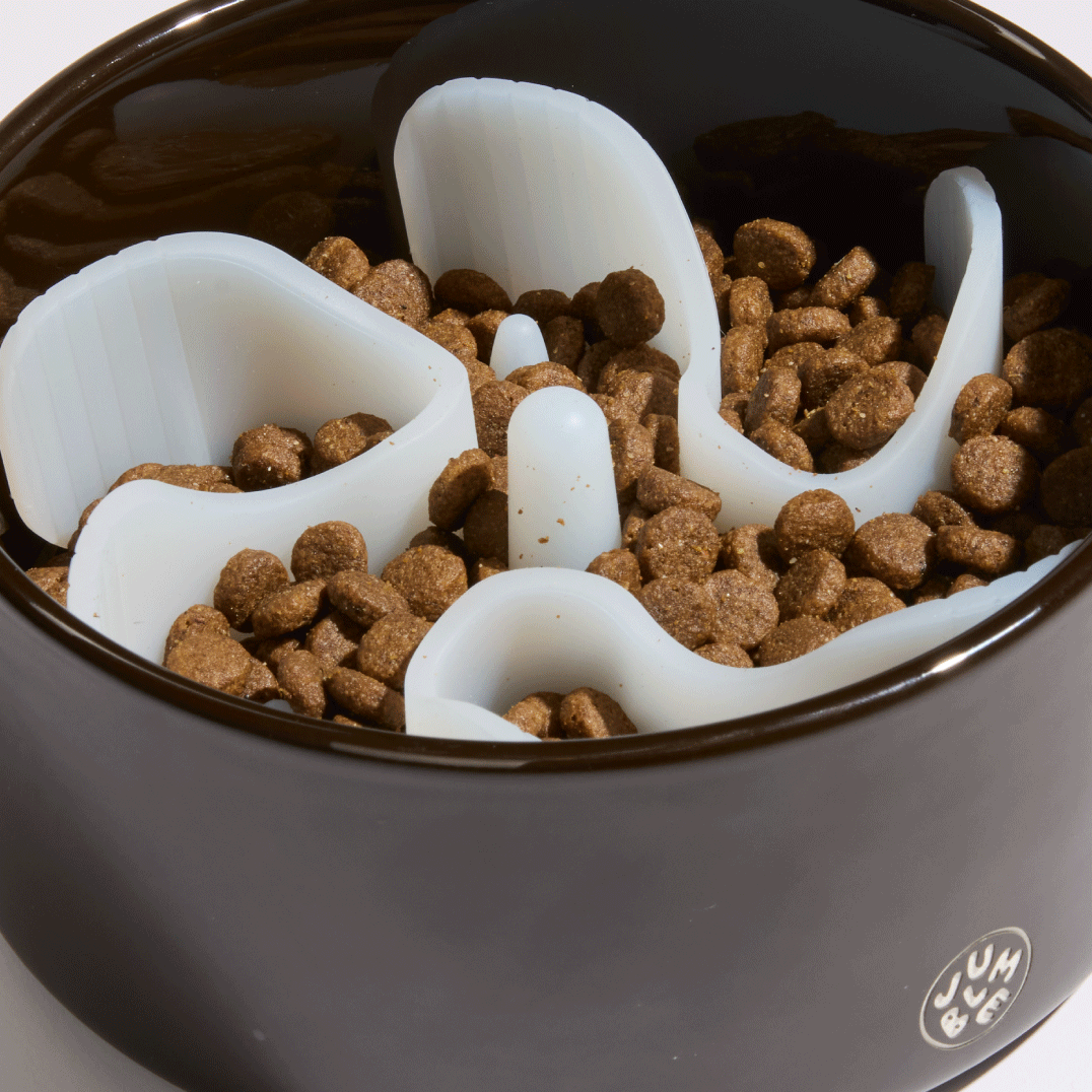 Munch Maze: Charcoal Frost – Jumble Pets