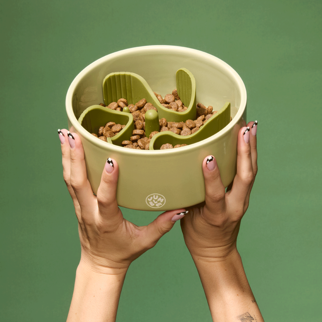 Munch Maze: Green on Green